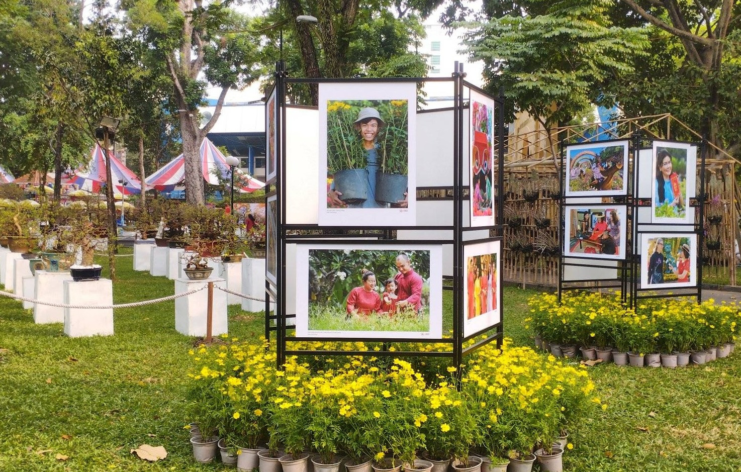 Triển lãm ảnh &quot; Kỷ niệm 50 năm những mùa hoa &quot; tại Hội hoa Xuân Tao Đàn