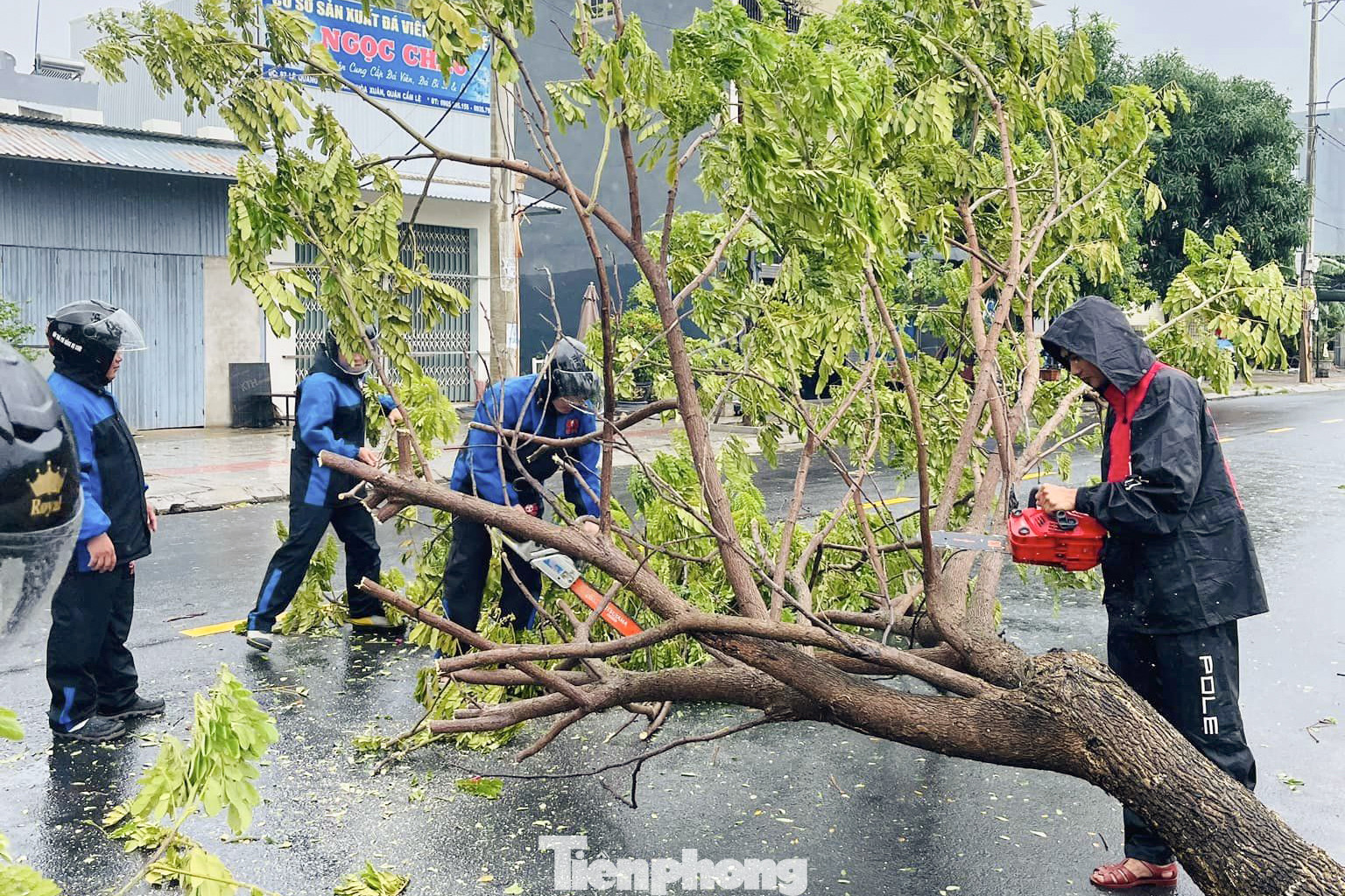Trước đó, Đội SOS Đà Nẵng tích cực hỗ trợ lực lượng chức năng và người dân Đà Nẵng khắc phục hậu quả của bão Trà Mi