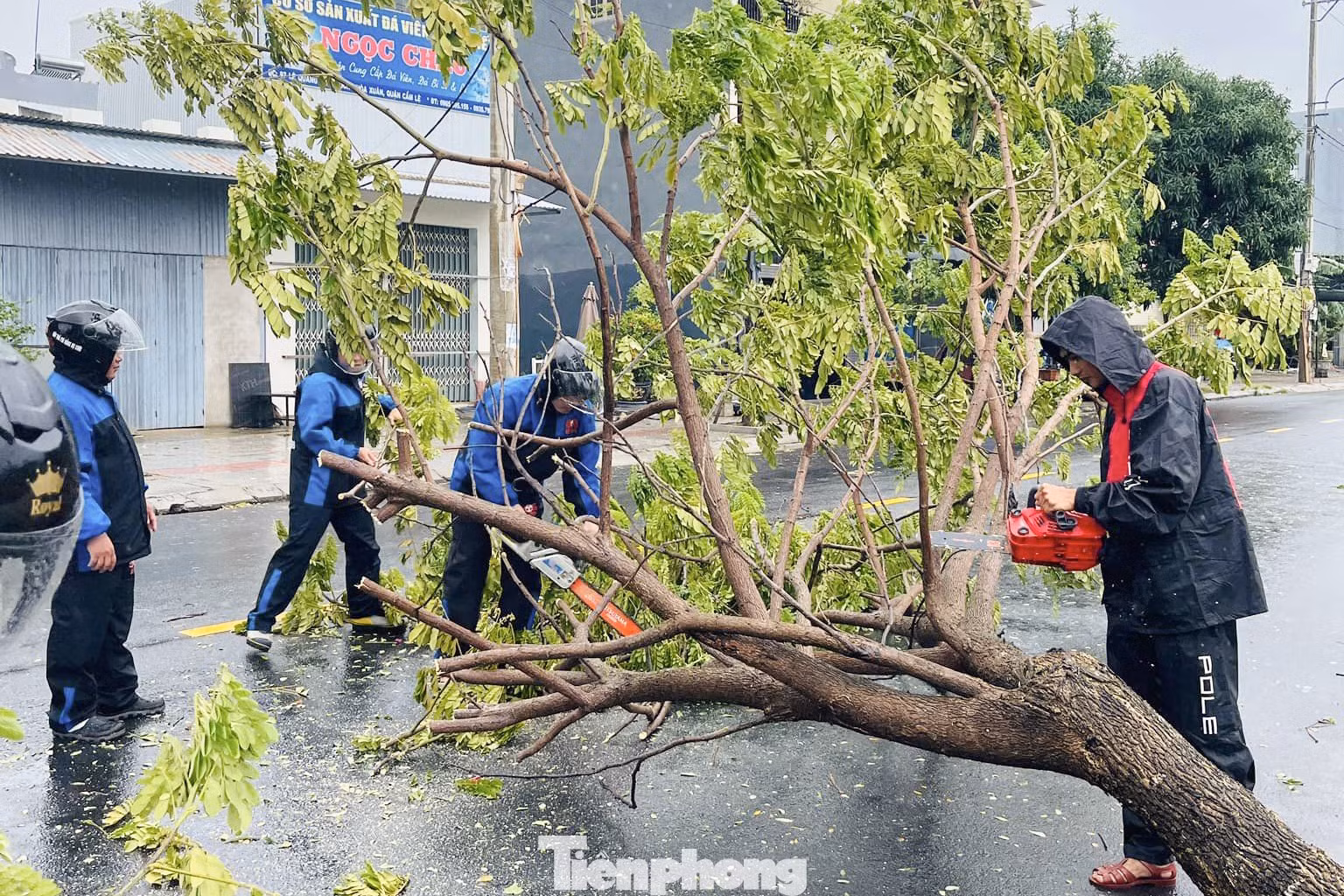 Trước đó, Đội SOS Đà Nẵng tích cực hỗ trợ lực lượng chức năng và người dân Đà Nẵng khắc phục hậu quả của bão Trà Mi