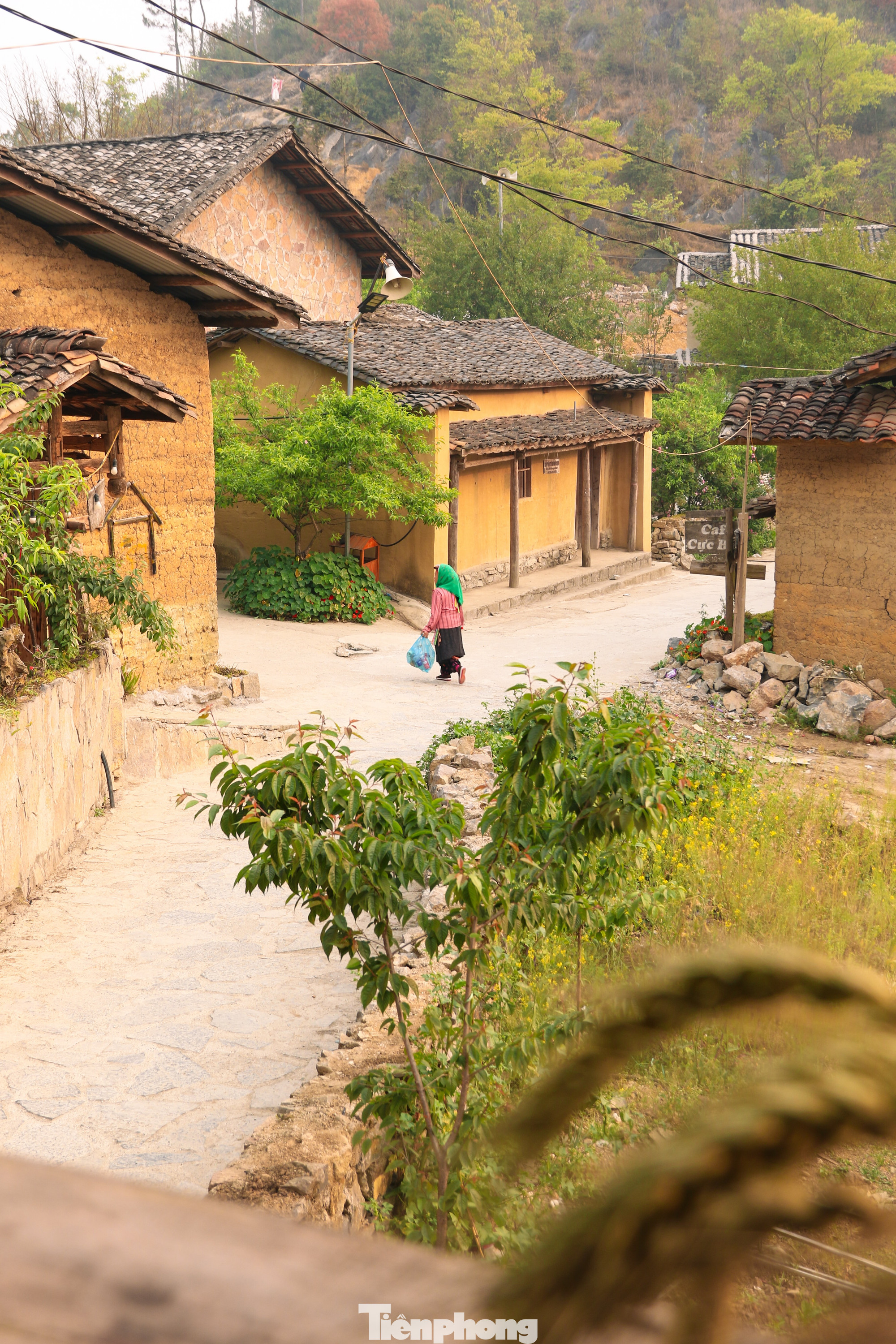 tp-hagiang-5-5109-8832.jpg