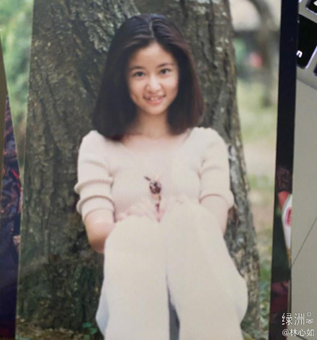 Ở tuổi đôi mươi, Lâm Tâm Như gây ấn tượng bởi vẻ ngoài dễ thương, trong trẻo. Cô sở hữu gương mặt bầu bĩnh cùng chiếc răng khểnh rất duyên . Thực tế, khi còn là thiếu nữ, Lâm Tâm Như đã khá đắt show làm người mẫu tạp chí, người mẫu ảnh.