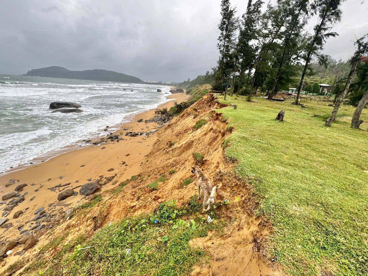 Cán bộ chiến sĩ biên phòng nỗ lực hạn chế sạt lở, triều cường.