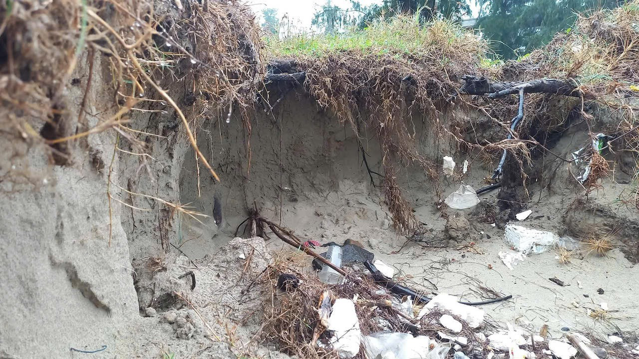 Sạt lở tạo hàm ếch tại một điểm thuộc bờ biển Mỹ Khê.