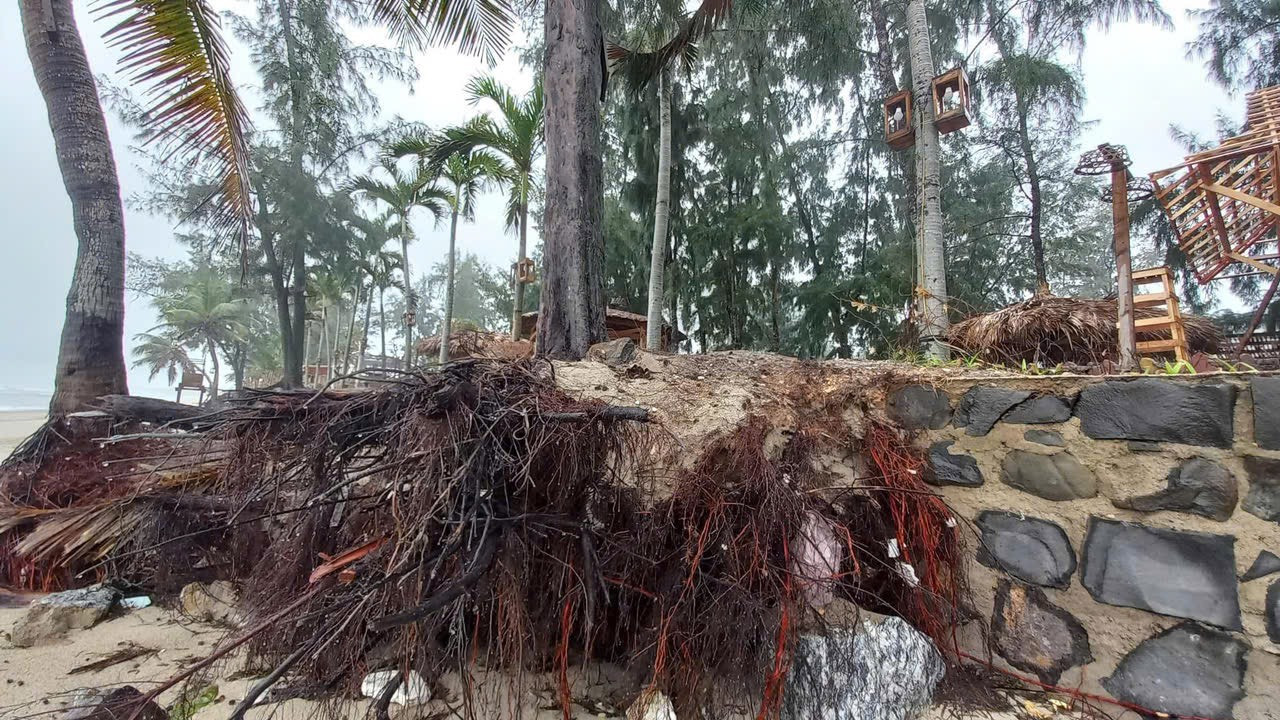 Sạt lở tại bãi biển Mỹ Khê (xã Tịnh Khê, TP. Quảng Ngãi).