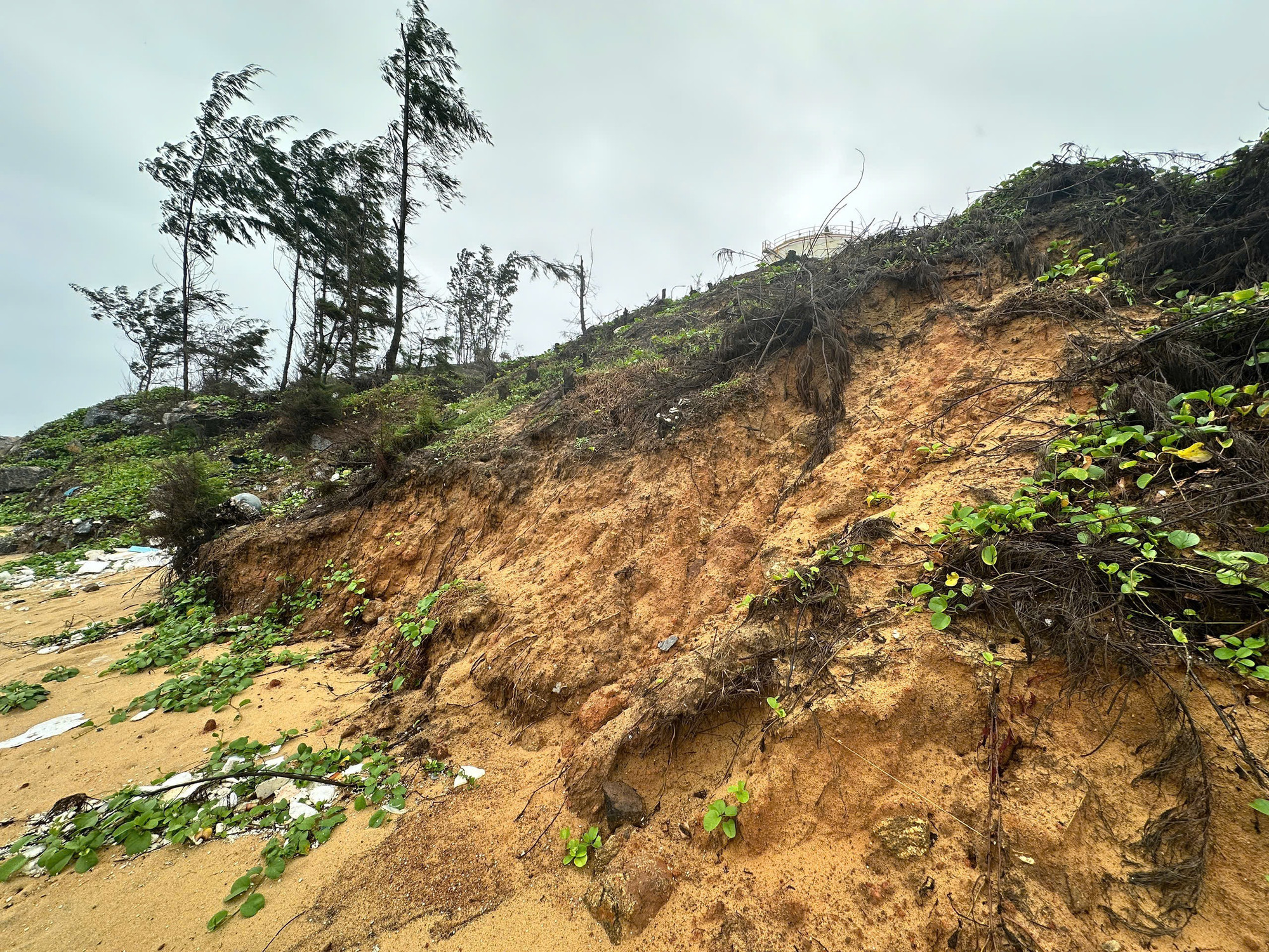 Cán bộ chiến sĩ biên phòng nỗ lực hạn chế sạt lở, triều cường.