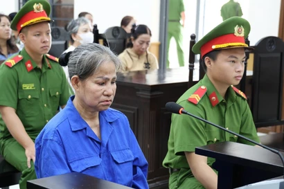 Lừa đảo hơn 14 tỷ đồng, chủ hụi lĩnh 17 năm tù