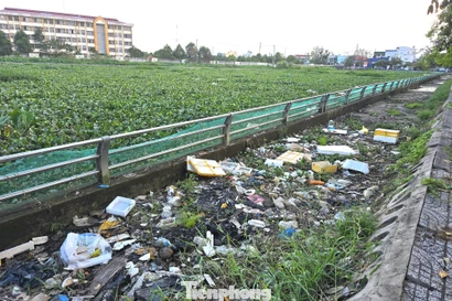 Nhếch nhác hồ cạnh phố ẩm thực ở trung tâm Cần Thơ