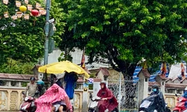 TPHCM đón đợt mưa dông diện rộng trong tuần mới