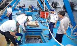 Phát hiện tàu cá ở vùng Nam biển Đông chở 100.000 lít dầu DO không rõ nguồn gốc