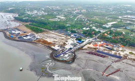 Đề xuất xây đường vượt biển nối Cần Giờ - Vũng Tàu