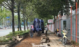 Lộ diện làn đường cho xe đạp đầu tiên ở TPHCM