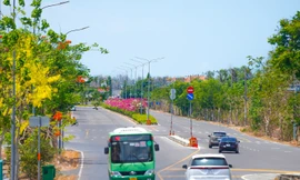 Người dân Cần Giờ, Côn Đảo được ưu đãi gì khi chuyển sang xe điện?