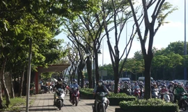 Sắp có làn riêng cho xe đạp ở TPHCM