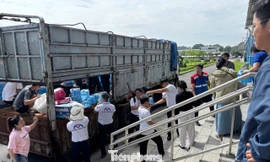 Hơn 180 tấn hàng đổ về các nhà ga metro TPHCM gửi người dân vùng lũ