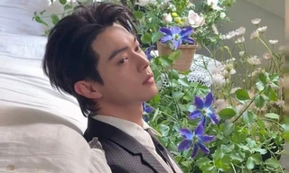 Hứa Khải có khả năng bị vào tù, đứng trước nguy cơ 'bay màu' hoàn toàn