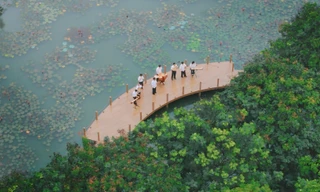 Sinh viên FPT thể hiện tình yêu âm nhạc truyền thống qua MV tri ân thầy cô nhân Ngày 20/11