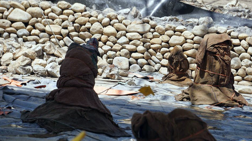 Cận cảnh cọc gỗ tại bãi cọc Cao Quỳ, xã Liên Khê (Thủy Nguyên, Hải Phòng).