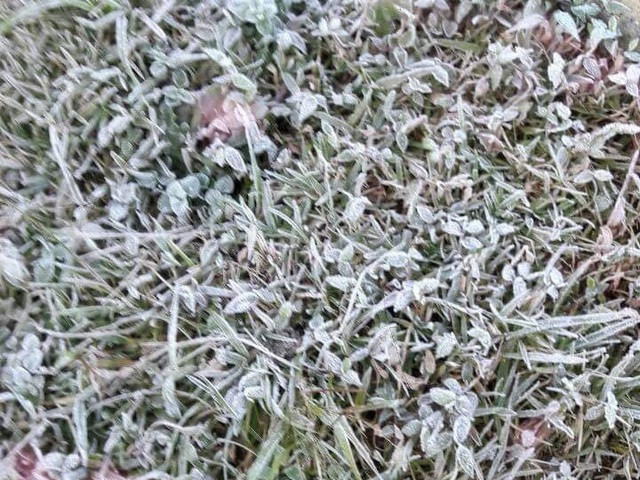 Băng giá ở miền núi, Nghệ An ra công điện ứng phó rét đậm, rét hại