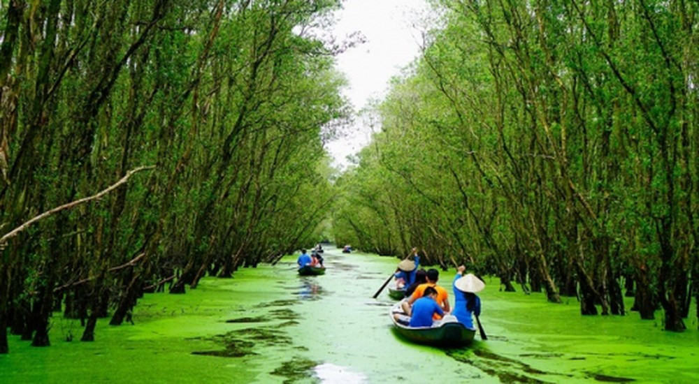 Sao Mai Trà Sư 'mở mũi' xúc tiến du lịch sinh thái | Báo điện tử Tiền Phong