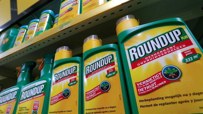 Cấm sử dụng chất diệt cỏ Glyphosate vì khả năng gây ung thư | Báo điện tử Tiền Phong
