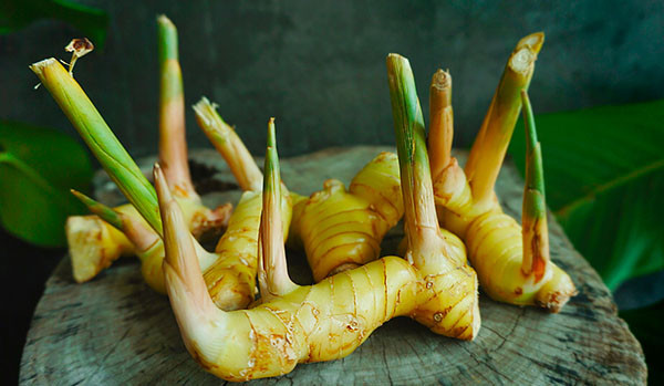 Ảnh minh họa: Internet