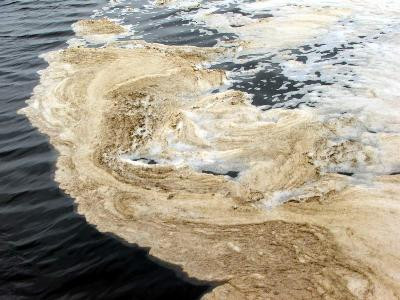 Duy lý và duy tình