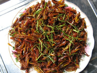 Châu chấu rang - Món ngon mùa lúa chín