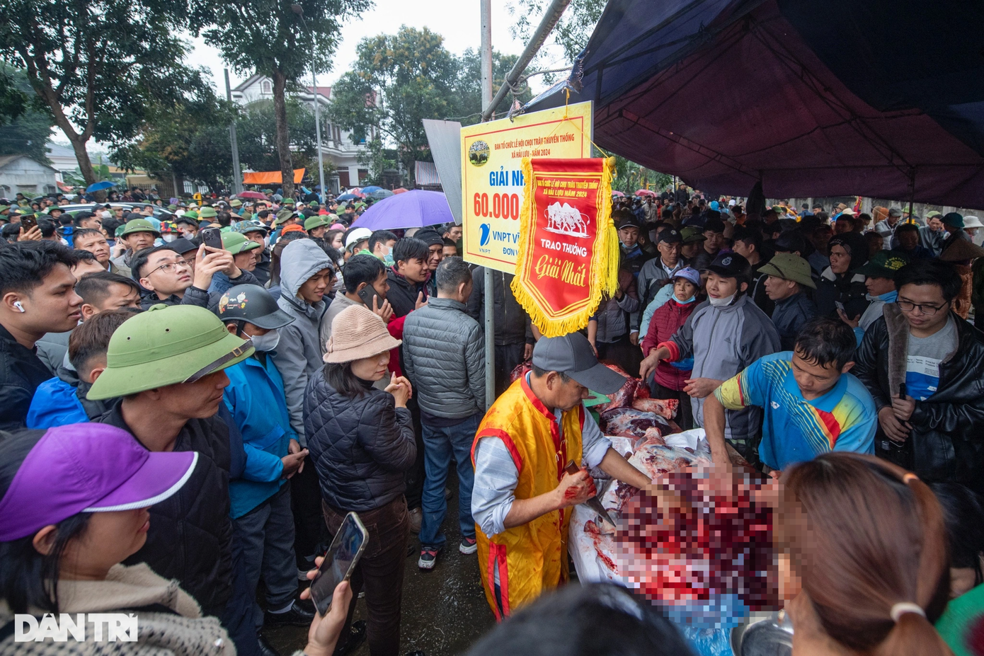 Ngay sau khi thi đấu, các ông trâu ngay lập tức được đưa ra khu vực xẻ thịt. Hàng trăm người vây quanh chờ được mua trâu lấy may đầu năm. Trâu vô địch được rao bán với mức giá 7 triệu đồng/kg thịt, nhưng sau đó khoảng 30 phút, do không có khách hàng đáp ứng được mức giá trên nên chủ trâu đã giảm giá xuống 2 mức giá 6 triệu và 5 triệu đồng.