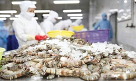 Ngành hàng xuất khẩu tỷ USD kiến nghị bỏ thuế VAT