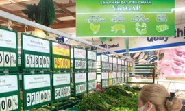 Phải kiểm tra đột xuất 'rau bẩn' vào trường học, siêu thị!