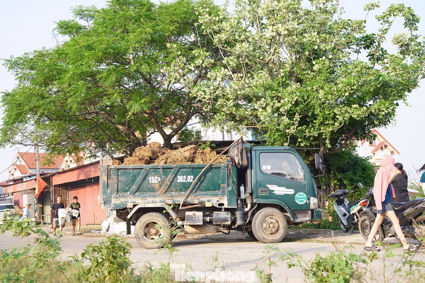 tp-tm06582.jpg