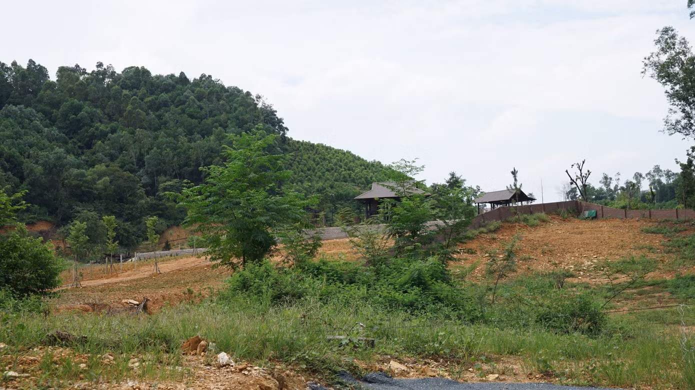 sc02722.jpg