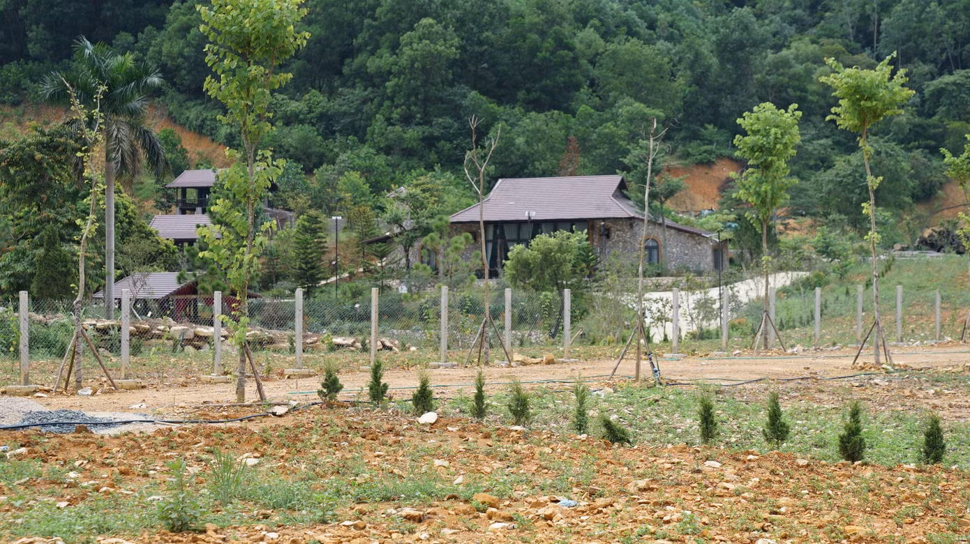 sc02730.jpg