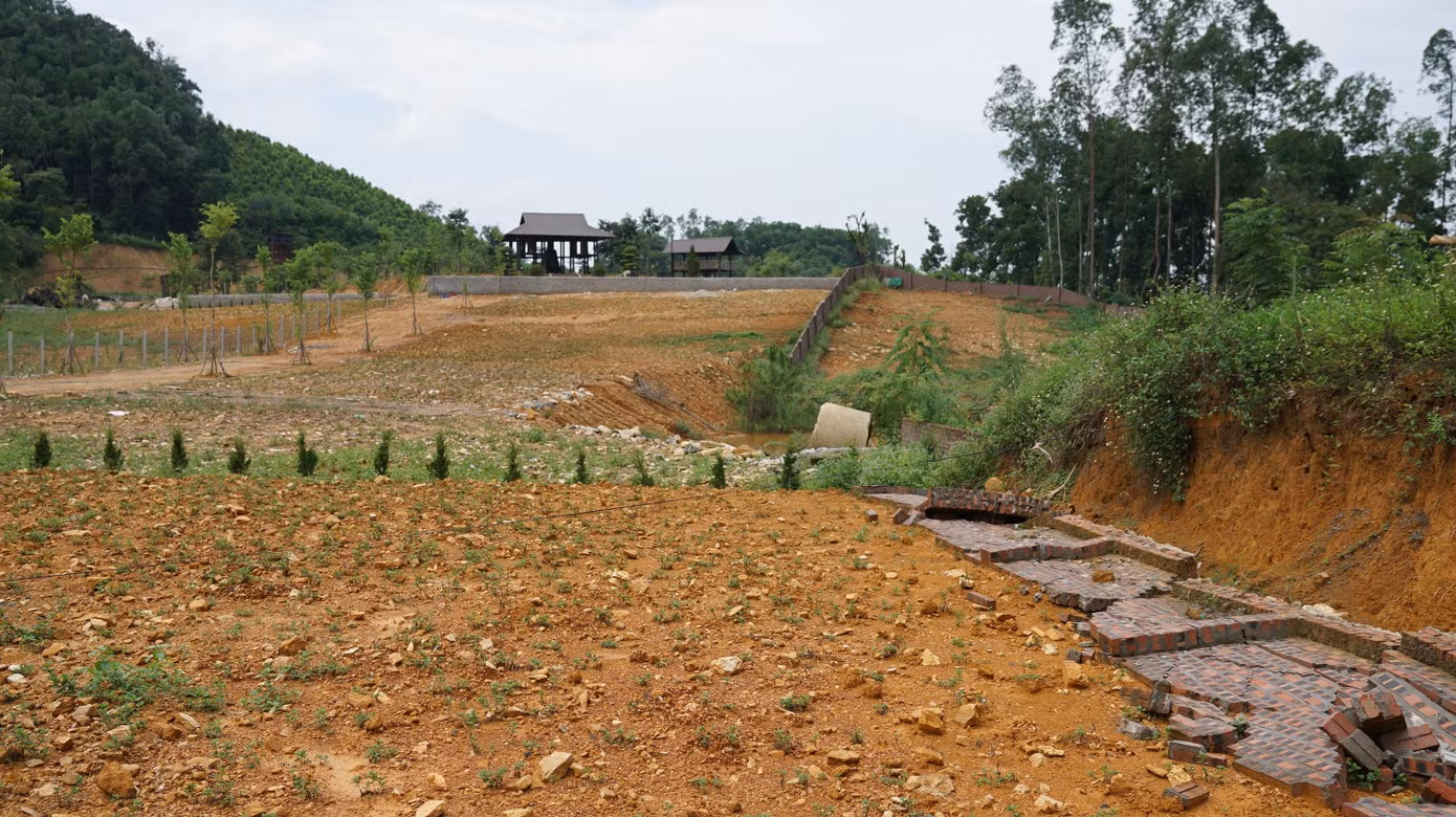 sc02739.jpg