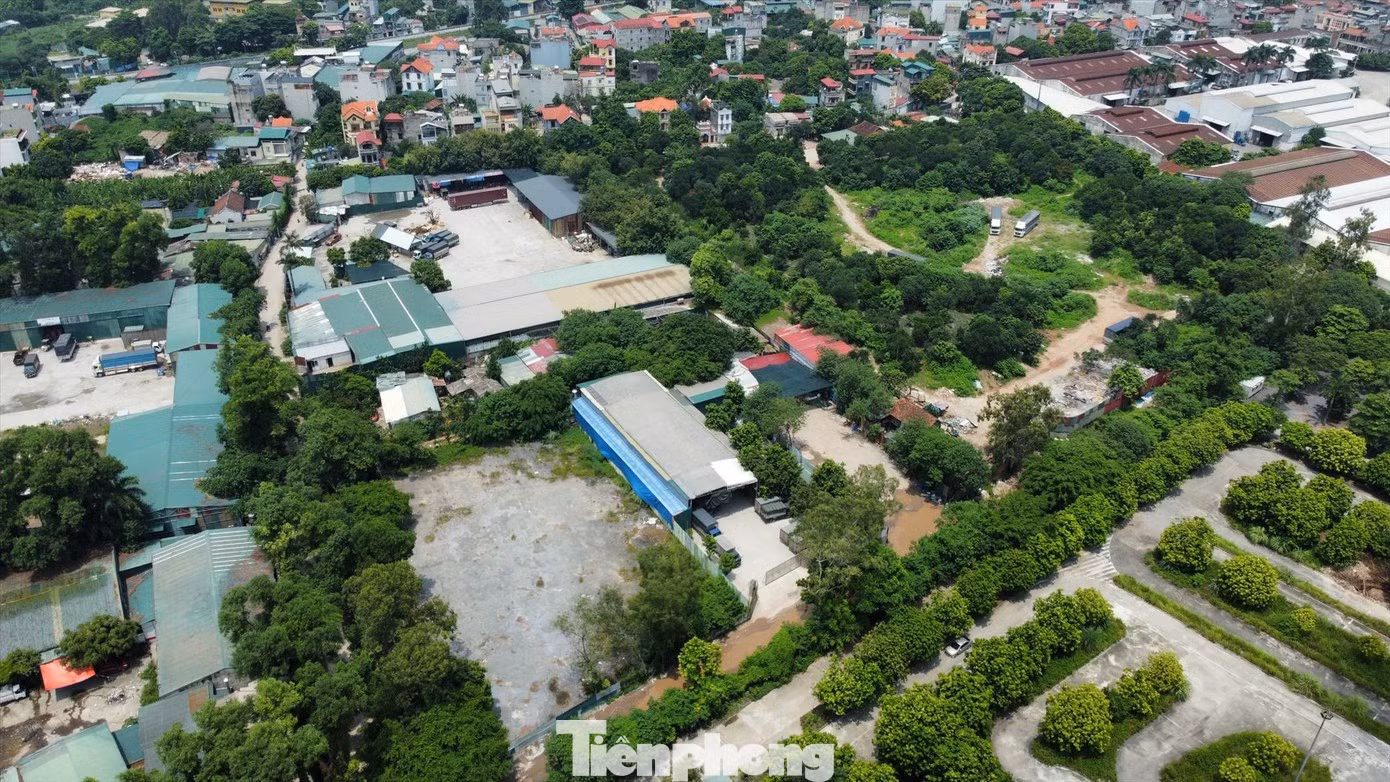 tp-hoangmai493804388ce5ab5fa10ae0f73bb0f1c1-579.jpg