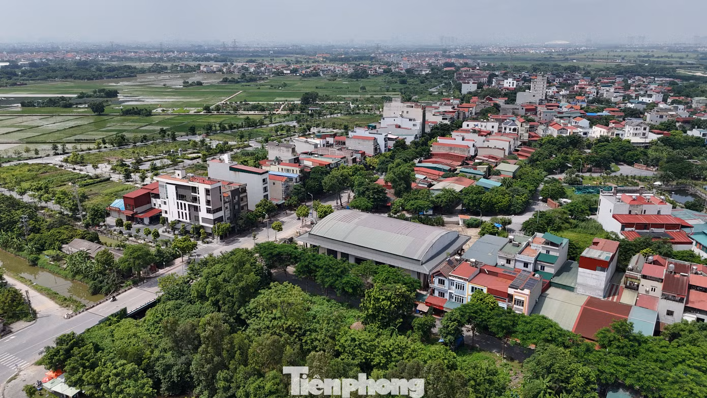 tp-ji-20260731112403-0441-tp.jpg