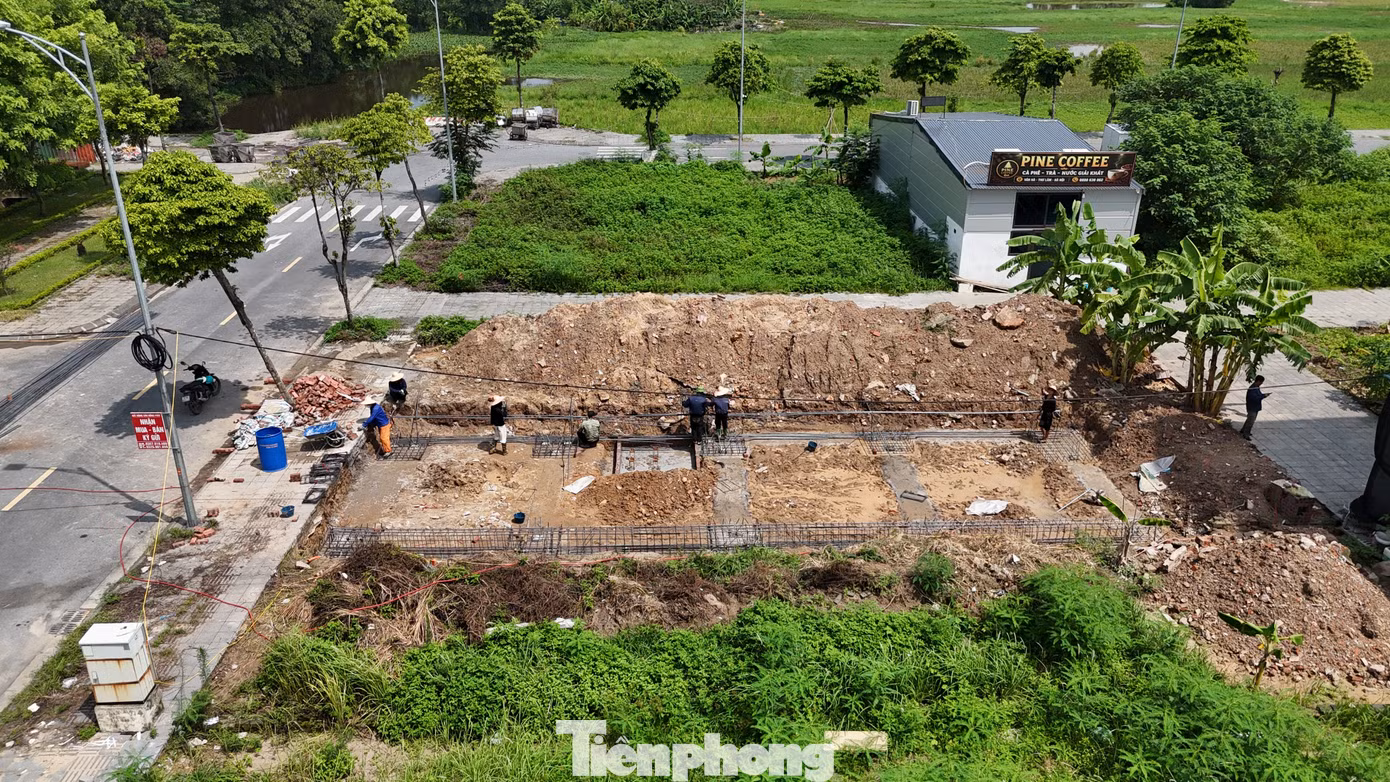 tp-ji-20260731112340-0438-tp.jpg