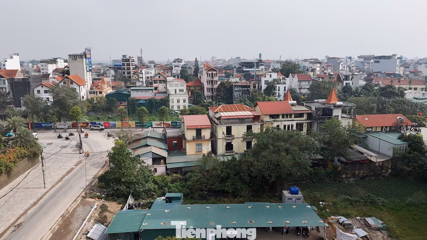 tp-ji-20260210115041-0048-tp.jpg