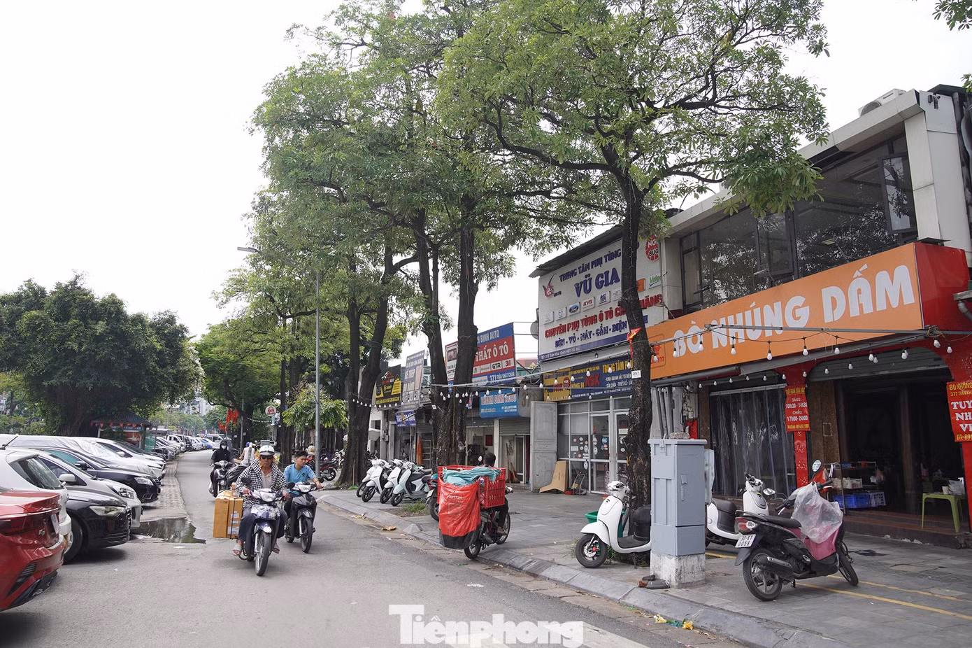 tp-tm01263.jpg