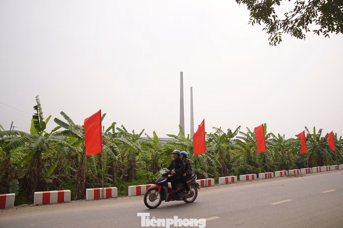 tp-tm00029.jpg