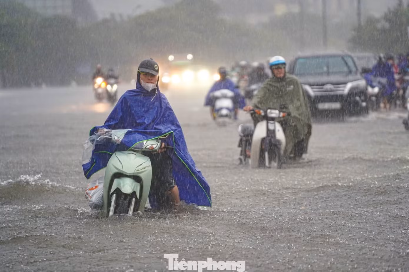 ngaptienphong-25.jpg