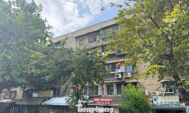 TPHCM 'thúc' tiến độ cải tạo chung cư cũ