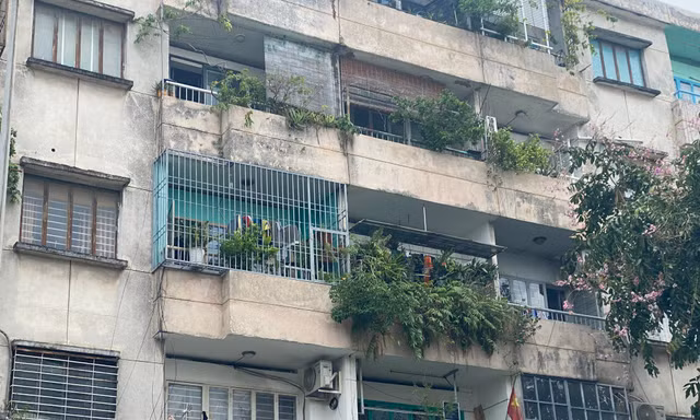 TPHCM yêu cầu xử lý dứt điểm nạn cơi nới, lấn chiếm căn hộ