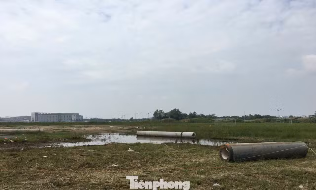 Cách nào giảm thuế sử dụng đất cho người dân?