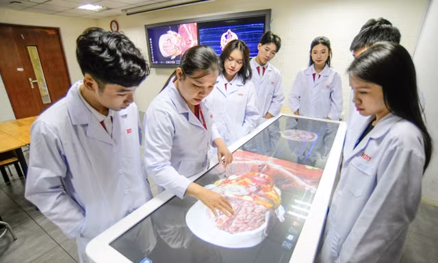 Ngưỡng bảo đảm chất lượng đầu vào nhóm ngành Sức khỏe ở phía Nam