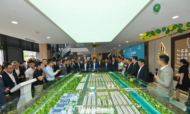 Diễn biến lạ trên thị trường đất nền