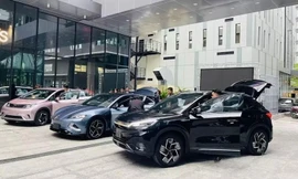 Xe năng lượng mới gặp khó vì Trung Quốc siết chặt chính sách