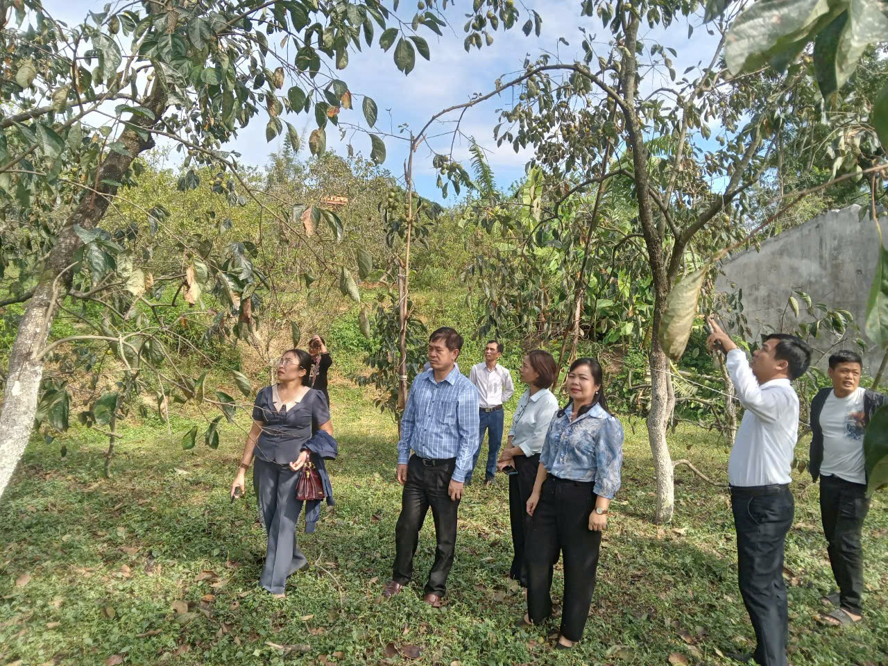 Nhờ có các chương trình mục tiêu quốc gia, nhiều hộ nông dân ở Lạng Sơn đã đẩy mạnh trồng cây đặc sản, đem lại hiệu quả kinh tế cao, góp phần xóa đói, giảm nghèo. 2024-10-07-09-35-4410.jpg