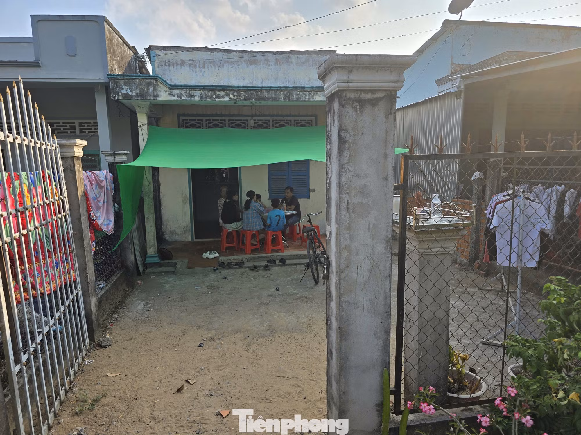 tp-tn5.jpg