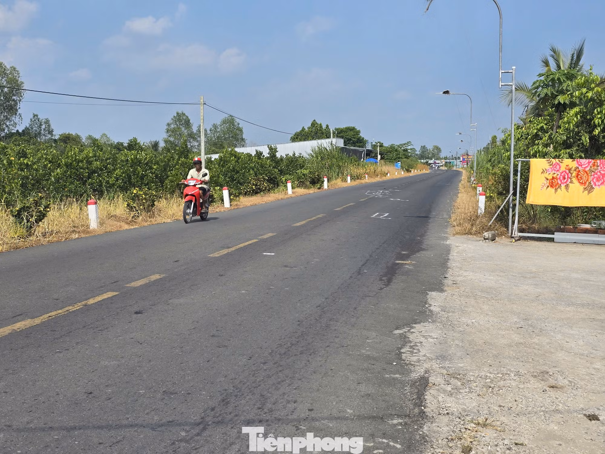 Vị trí sân bé trai đá bóng (bên phải) và nơi trái bóng lăn ra Tỉnh lộ 908 (còn vạch vẽ trắng), khiến anh H. đâm phải và ngã tử vong. tp-tn1.jpg